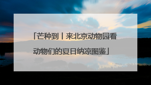 芒种到丨来北京动物园看动物们的夏日纳凉图鉴