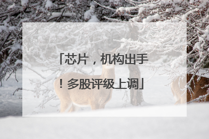 芯片，机构出手！多股评级上调