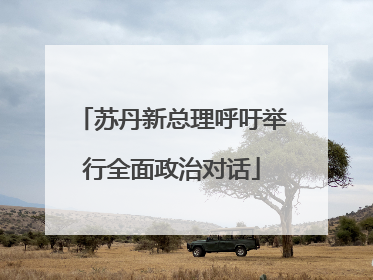 苏丹新总理呼吁举行全面政治对话