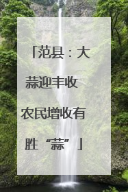 范县：大蒜迎丰收 农民增收有胜“蒜”