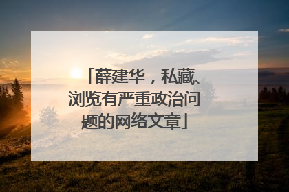 薛建华，私藏、浏览有严重政治问题的网络文章
