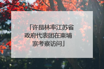 许昆林率江苏省政府代表团在柬埔寨考察访问