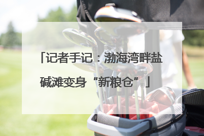 记者手记：渤海湾畔盐碱滩变身“新粮仓”