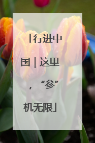 行进中国｜这里，“参”机无限