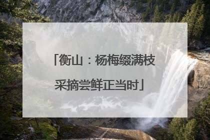衡山：杨梅缀满枝 采摘尝鲜正当时