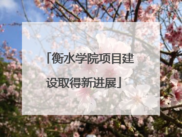 衡水学院项目建设取得新进展