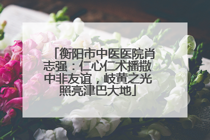 衡阳市中医医院肖志强：仁心仁术播撒中非友谊，岐黄之光照亮津巴大地