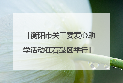 衡阳市关工委爱心助学活动在石鼓区举行