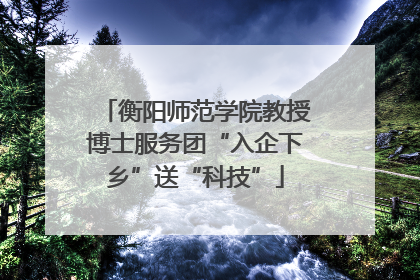 衡阳师范学院教授博士服务团“入企下乡”送“科技”