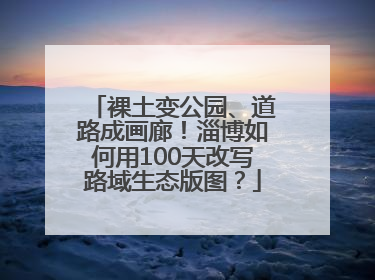 裸土变公园、道路成画廊！淄博如何用100天改写路域生态版图？