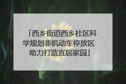 西乡街道西乡社区科学规划非机动车停放区 助力打造宜居家园
