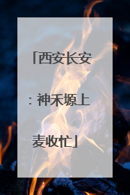 西安长安：神禾塬上麦收忙