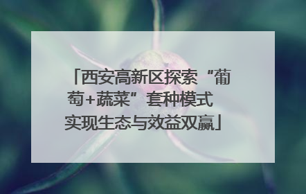 西安高新区探索“葡萄+蔬菜”套种模式 实现生态与效益双赢