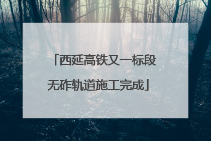 西延高铁又一标段无砟轨道施工完成