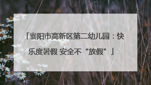襄阳市高新区第二幼儿园：快乐度暑假 安全不“放假”