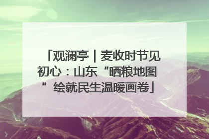 观澜亭｜麦收时节见初心：山东“晒粮地图”绘就民生温暖画卷