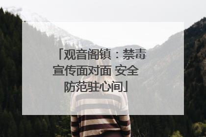 观音阁镇：禁毒宣传面对面 安全防范驻心间