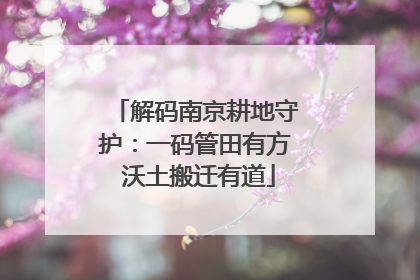 解码南京耕地守护：一码管田有方 沃土搬迁有道