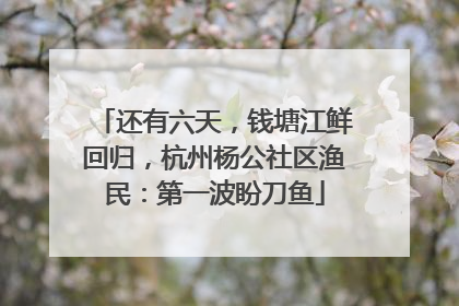 还有六天，钱塘江鲜回归，杭州杨公社区渔民：第一波盼刀鱼