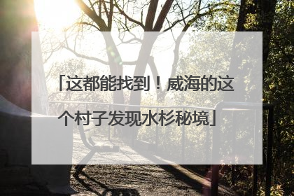 这都能找到！威海的这个村子发现水杉秘境