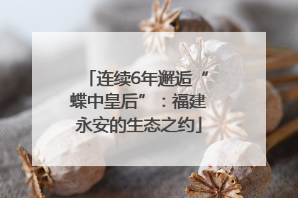 连续6年邂逅“蝶中皇后”：福建永安的生态之约