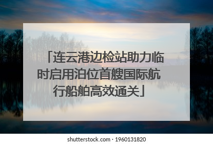 连云港边检站助力临时启用泊位首艘国际航行船舶高效通关