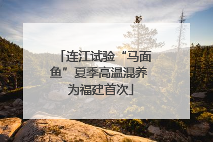 连江试验“马面鱼”夏季高温混养 为福建首次