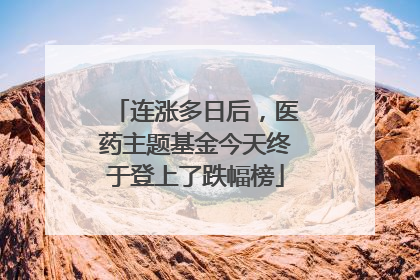 连涨多日后，医药主题基金今天终于登上了跌幅榜