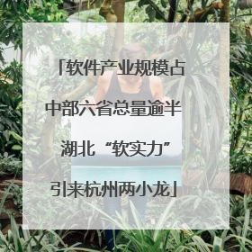 软件产业规模占中部六省总量逾半 湖北“软实力”引来杭州两小龙