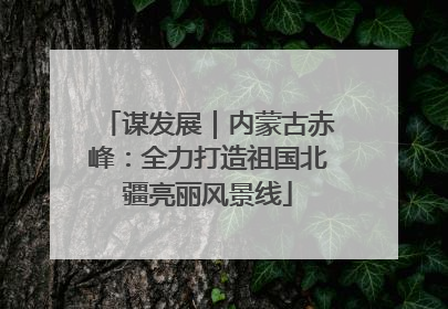 谋发展｜内蒙古赤峰：全力打造祖国北疆亮丽风景线
