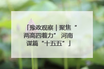豫政观察｜聚焦“两高四着力” 河南谋篇“十五五”