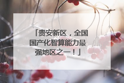 贵安新区，全国国产化智算能力最强地区之一！