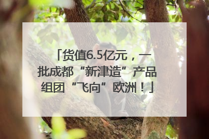 货值6.5亿元，一批成都“新津造”产品组团“飞向”欧洲！