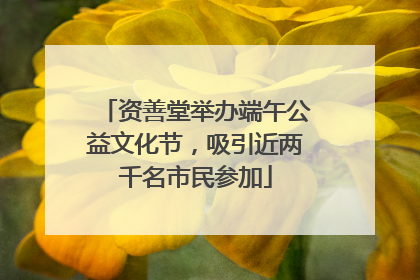 资善堂举办端午公益文化节，吸引近两千名市民参加