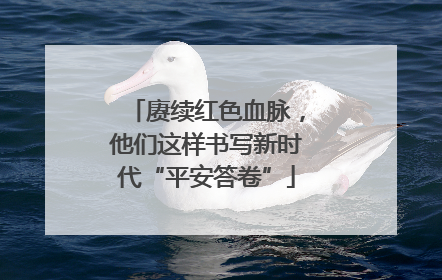 赓续红色血脉，他们这样书写新时代“平安答卷”