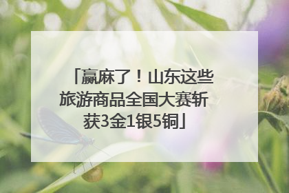 赢麻了！山东这些旅游商品全国大赛斩获3金1银5铜
