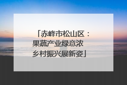 赤峰市松山区：果蔬产业绿意浓 乡村振兴展新姿