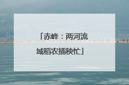赤峰：两河流域稻农插秧忙