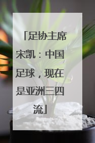 足协主席宋凯：中国足球，现在是亚洲三四流