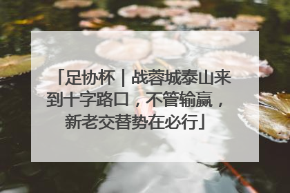 足协杯｜战蓉城泰山来到十字路口，不管输赢，新老交替势在必行