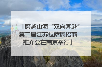 跨越山海“双向奔赴” 第二届江苏拉萨周招商推介会在南京举行