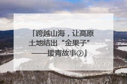 跨越山海，让高原土地结出“金果子”——援青故事②