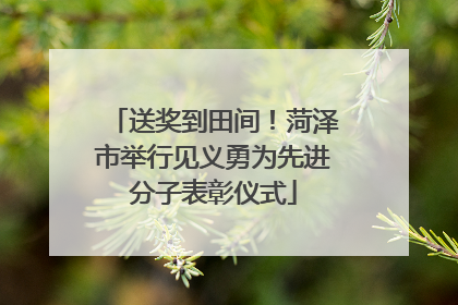送奖到田间！菏泽市举行见义勇为先进分子表彰仪式