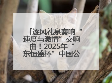 逐风礼泉奏响“速度与激情”交响曲！2025年“东恒盛杯”中国公路自行车联赛第五站（陕西·礼泉站）正式开赛