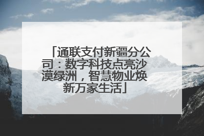 通联支付新疆分公司：数字科技点亮沙漠绿洲，智慧物业焕新万家生活