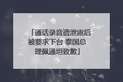 通话录音遭泄露后被要求下台 泰国总理佩通坦致歉