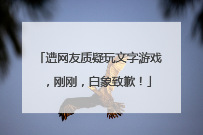 遭网友质疑玩文字游戏，刚刚，白象致歉！