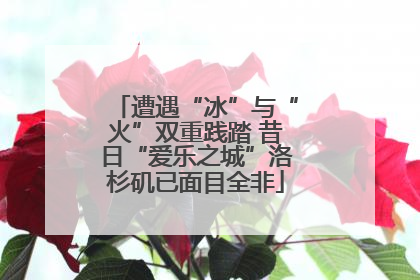 遭遇“冰”与“火”双重践踏 昔日“爱乐之城”洛杉矶已面目全非