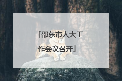 邵东市人大工作会议召开