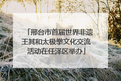 邢台市首届世界非遗王其和太极拳文化交流活动在任泽区举办